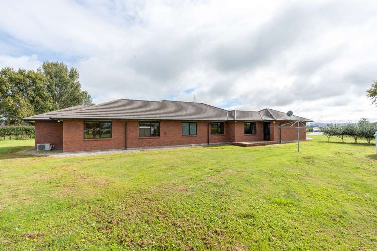 294 Piako Road Gordonton_6