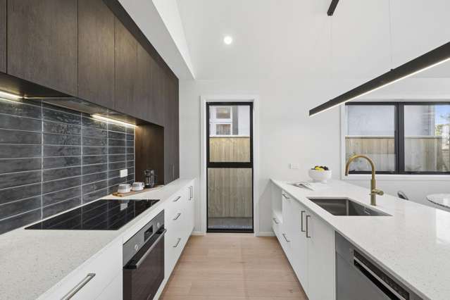 5 Palm Avenue Lyall Bay_3