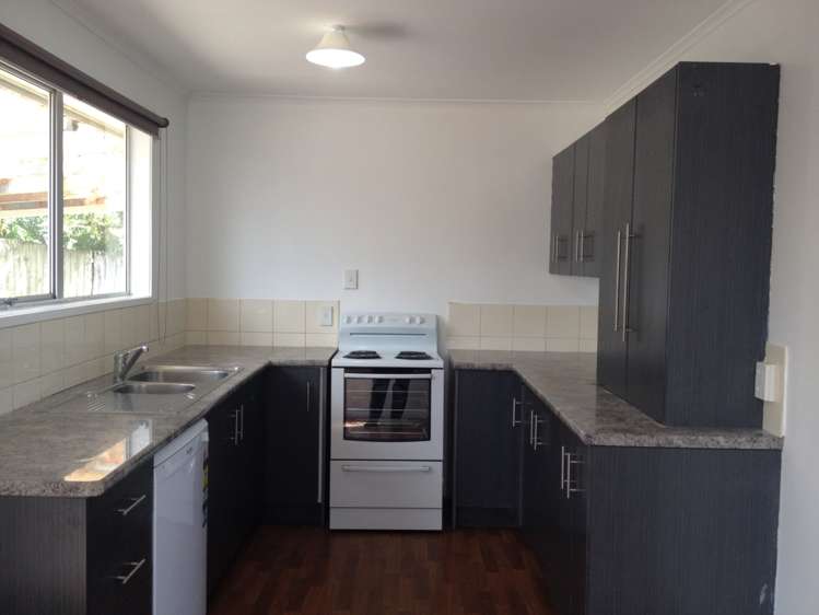 20 Leo Street Glen Eden_11