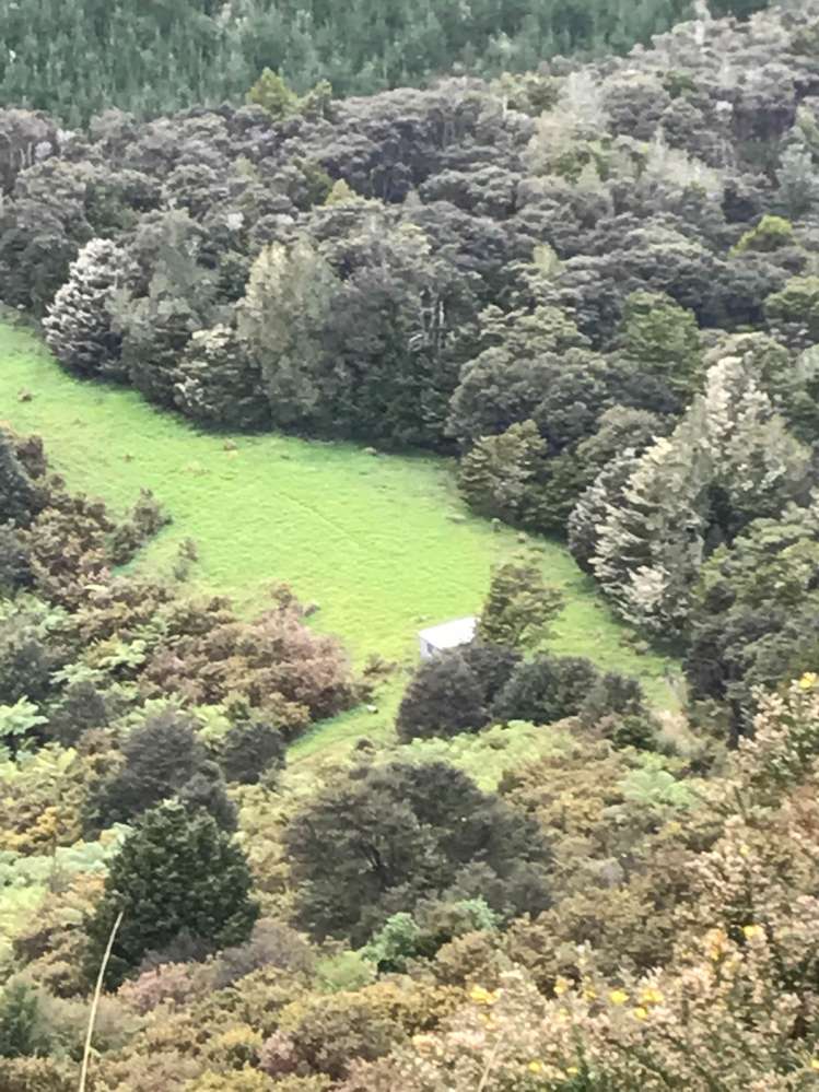 297a Wilson Road Wellsford_19