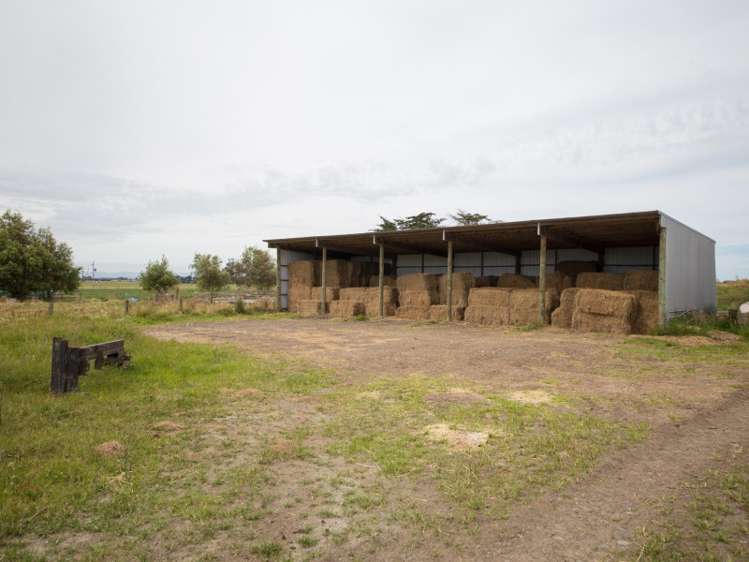 788 Tangimoana Road Ohakea_8