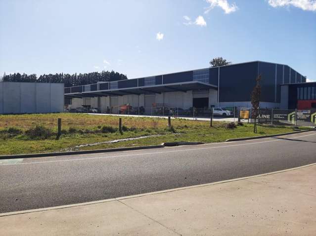 41 Kiriwehi Street Tauriko_1