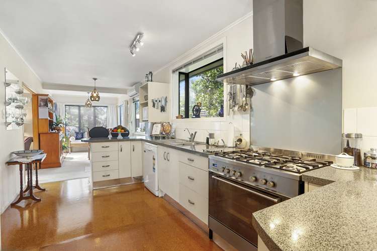 69 Mead Street Avondale_5