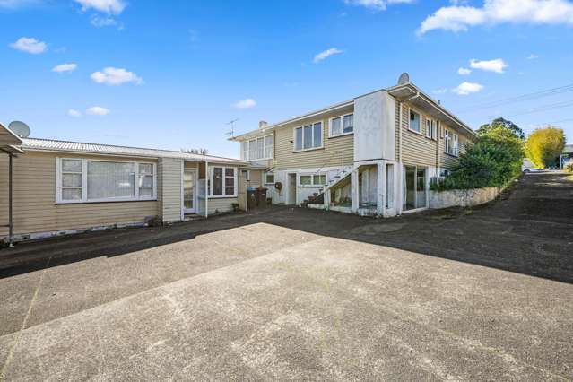 50 Ellis Avenue Mount Roskill_2