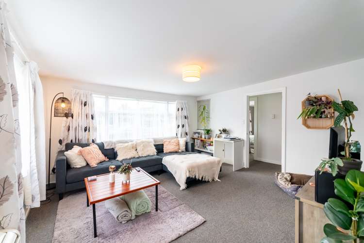 87 Riverlea Estate Drive Kainga_4