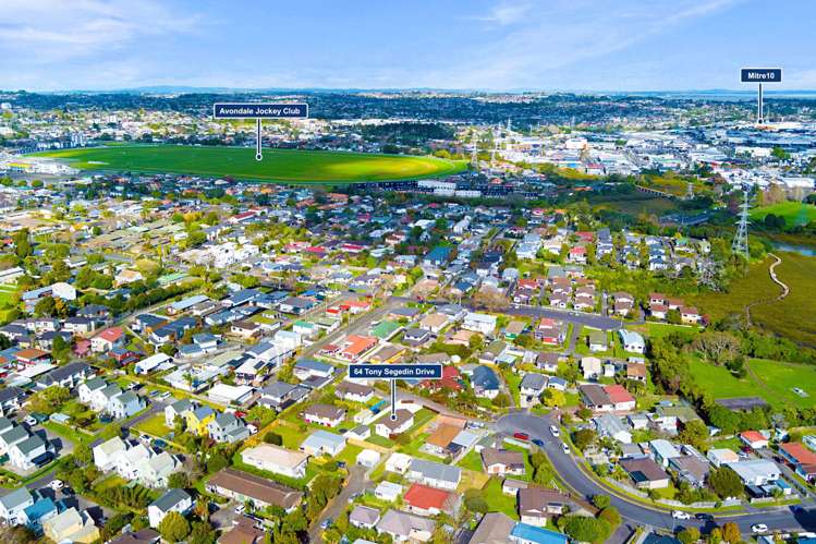 64 Tony Segedin Drive Avondale_22