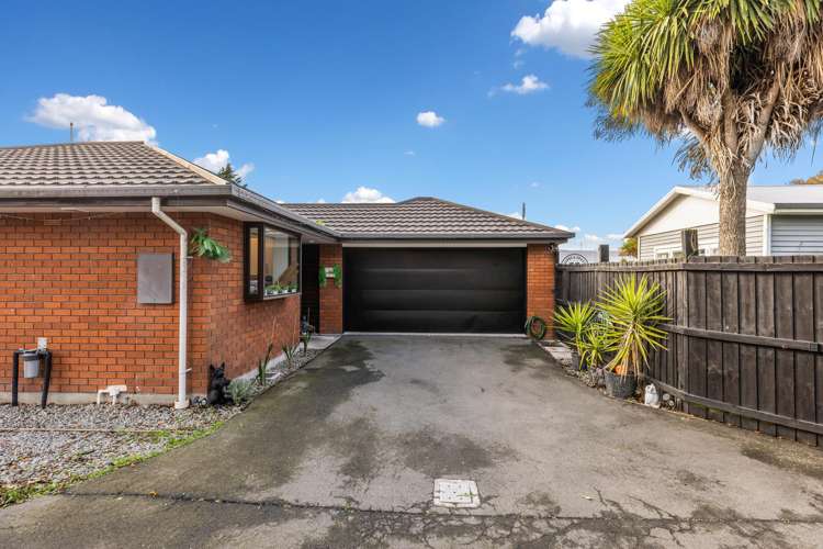 71A Shirley Road Shirley_15