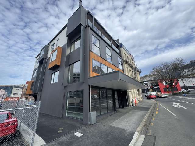 175 Rattray Street City Centre Dunedin_1