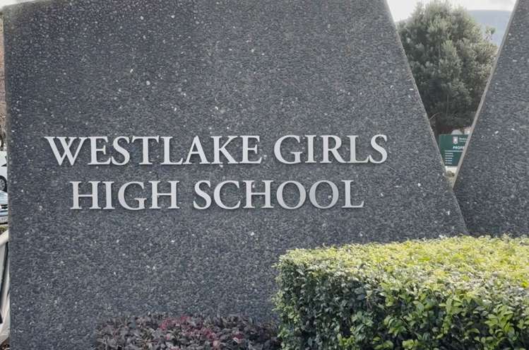 15b Bond Crescent Forrest Hill_18