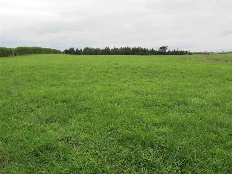 174 Main South Road Green Island_6