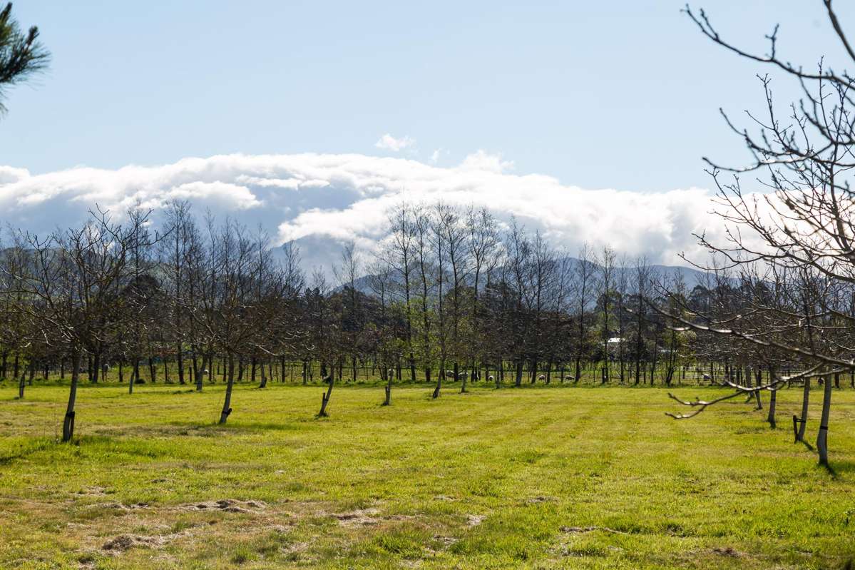 417 Upper Plain Road_5
