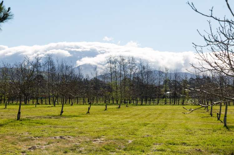 417 Upper Plain Road Masterton_9
