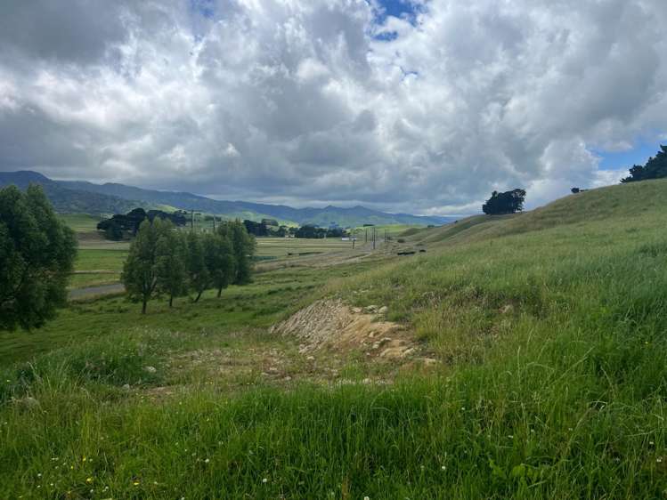 592 Pinfold Road Woodville_16