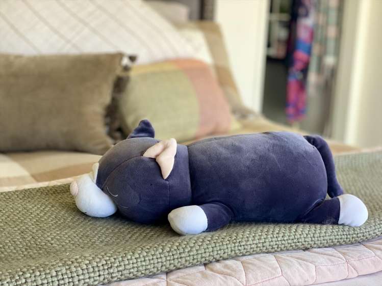 80 Tio Tio Road Seatoun_18