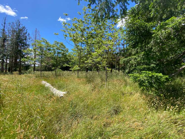 783 Chester Road Carterton_14