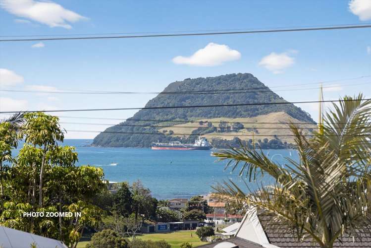 29 Pillans Road Otumoetai_9