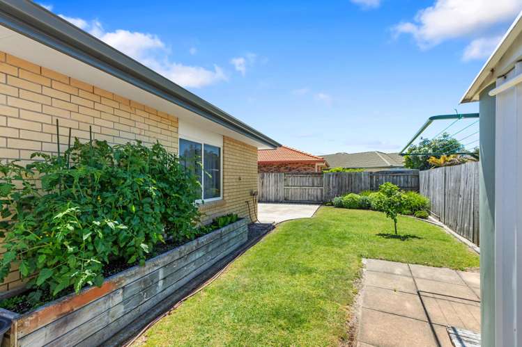 7 Fahey Avenue Mount Maunganui_18