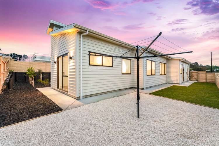 17 Kauri Gum Rise Swanson_20