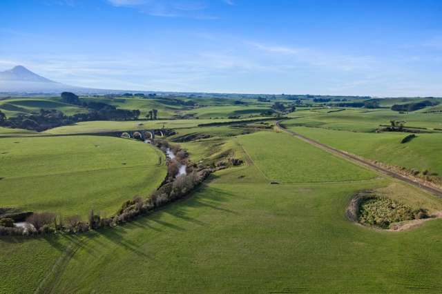 Serenity + Potential on Skeet Road