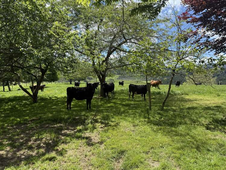 1/1745 Arapuni Road Parawera_19