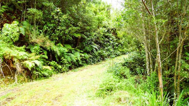 5296D State Highway 6 Punakaiki_12