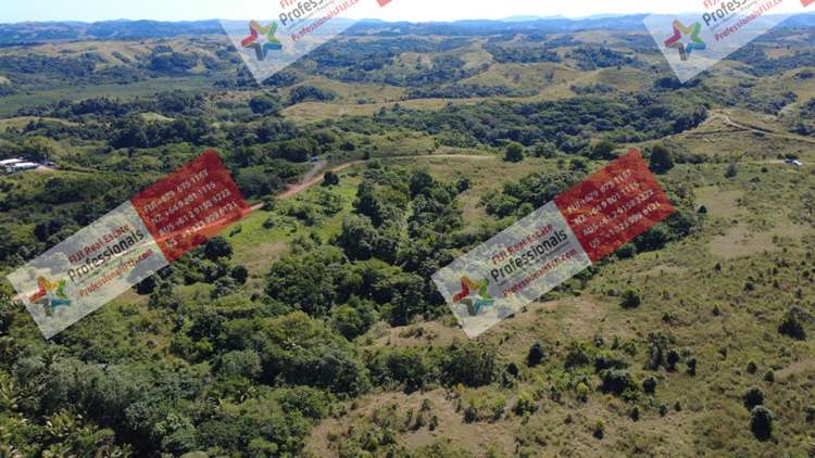 Address withheld Sigatoka_10