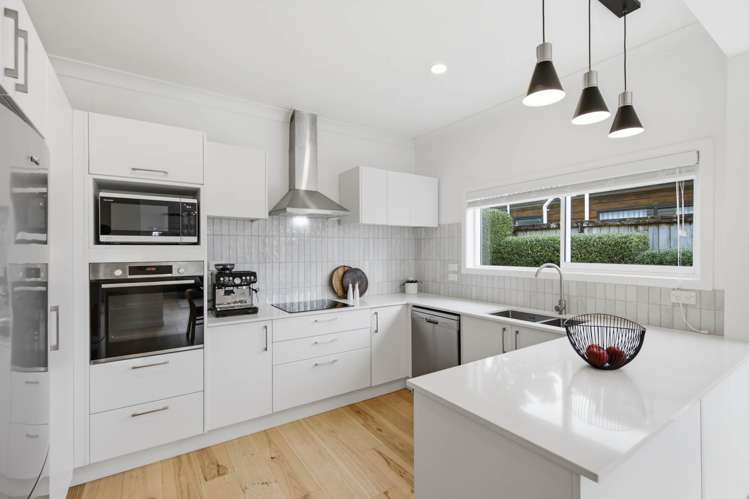 16A Powell Street Avondale_8