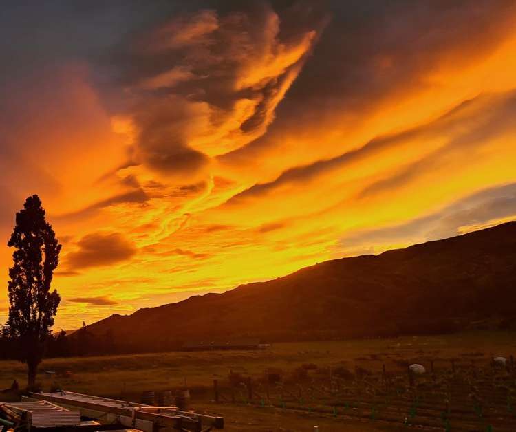 84 Gladsmuir Road Queensberry_13