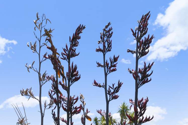 234 Te Hapua Road Te Horo_38