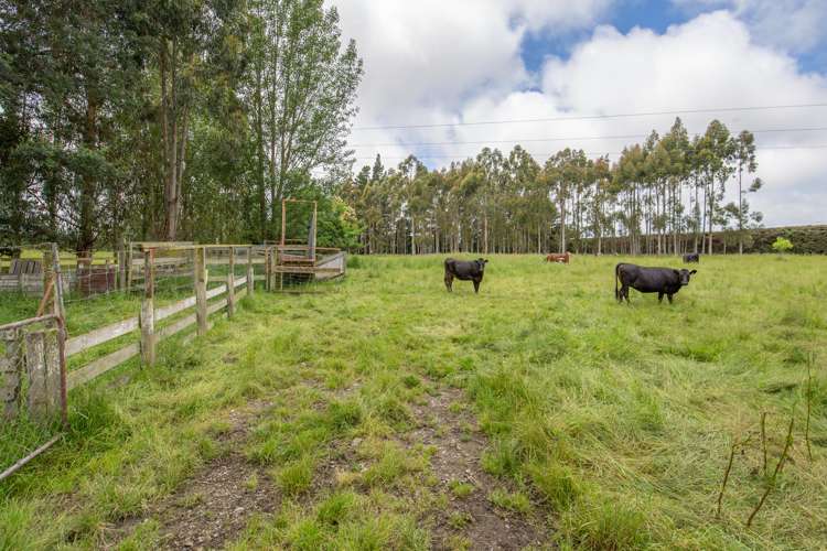 5 Fawcetts Road Ashley_17