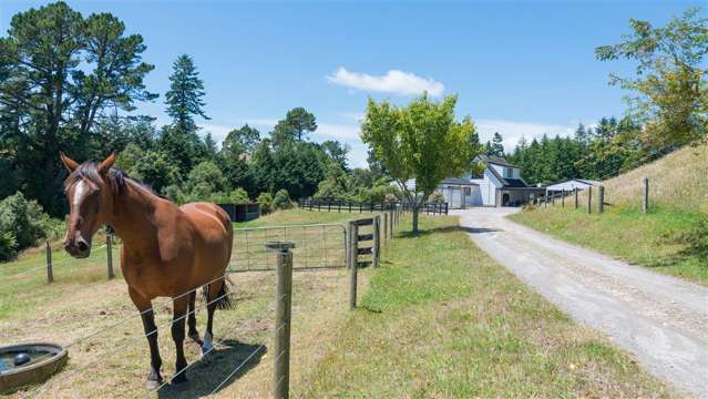 201 Forest Road Oruanui_3