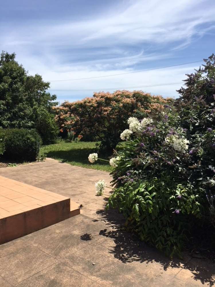 1703 Eltham Road Riverlea_21