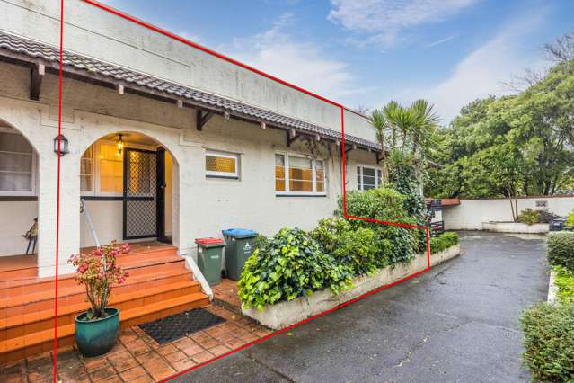 294 Manukau Road Epsom_1
