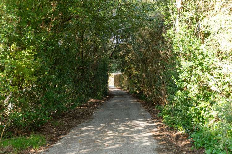 250 Upper Manaia Road Upper Plain_18