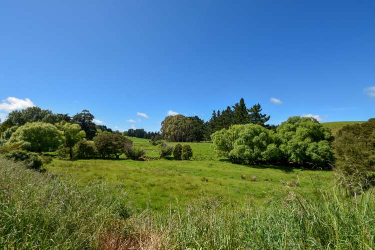 90 Millars Road Longbush_22