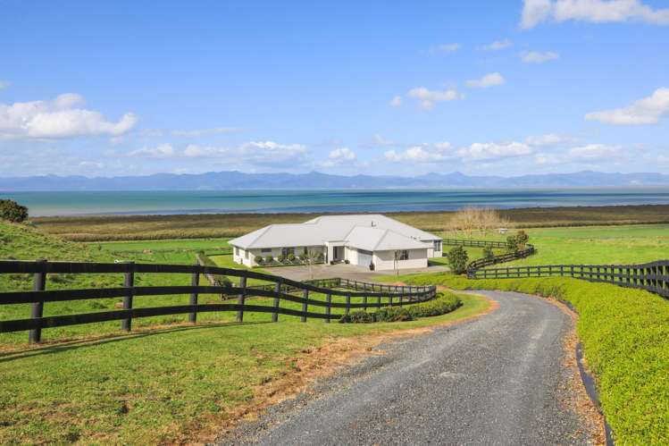 766A Back Miranda Road Miranda_20