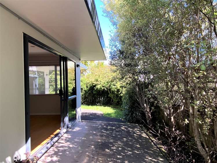 East Coast Road Sunnynook_9