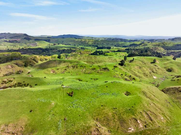 559 Maraetotara Road Maraetotara_30
