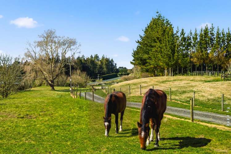 1465 Poihipi Road Oruanui_19