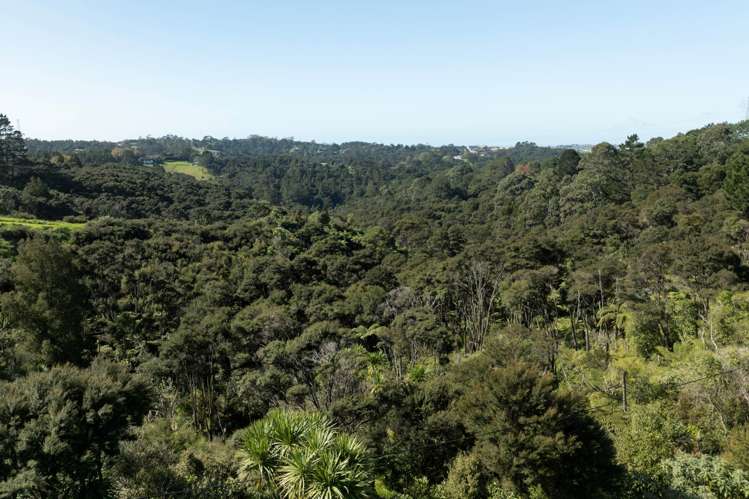 420 Dairy Flat Highway Albany Heights_7