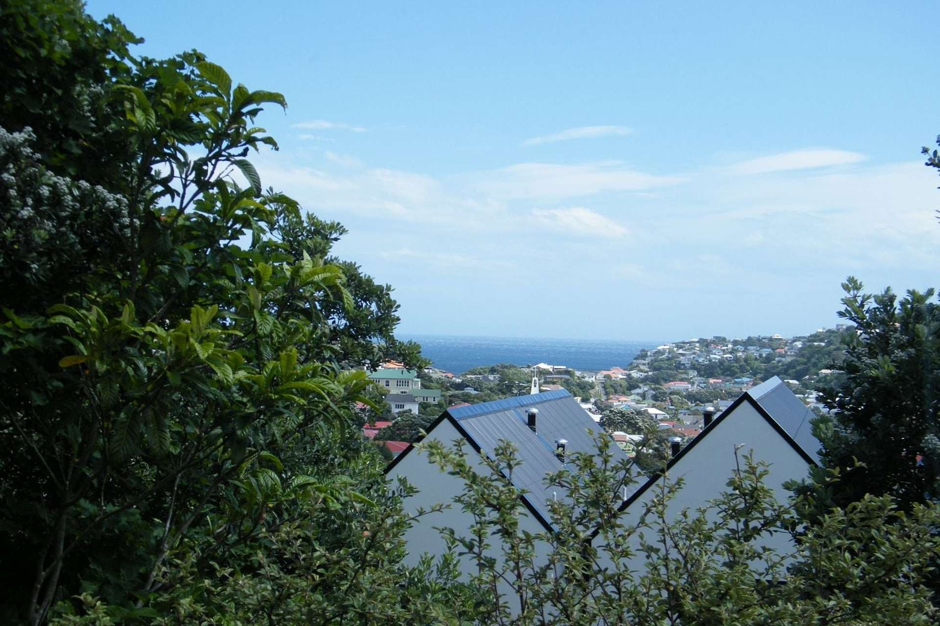 1 Mace Street Island Bay_0