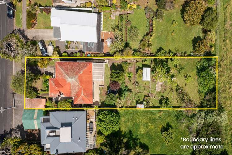 19 Mount Royal Avenue Mount Albert_12