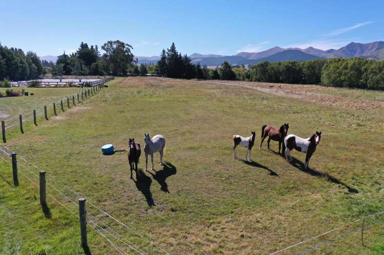 734 Palmerston Dunback Road Dunback_10