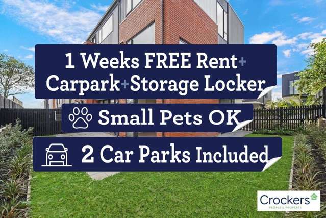 Brand New 3 Bdrm Apartment At The Heart Of Te Atatu South Park side living