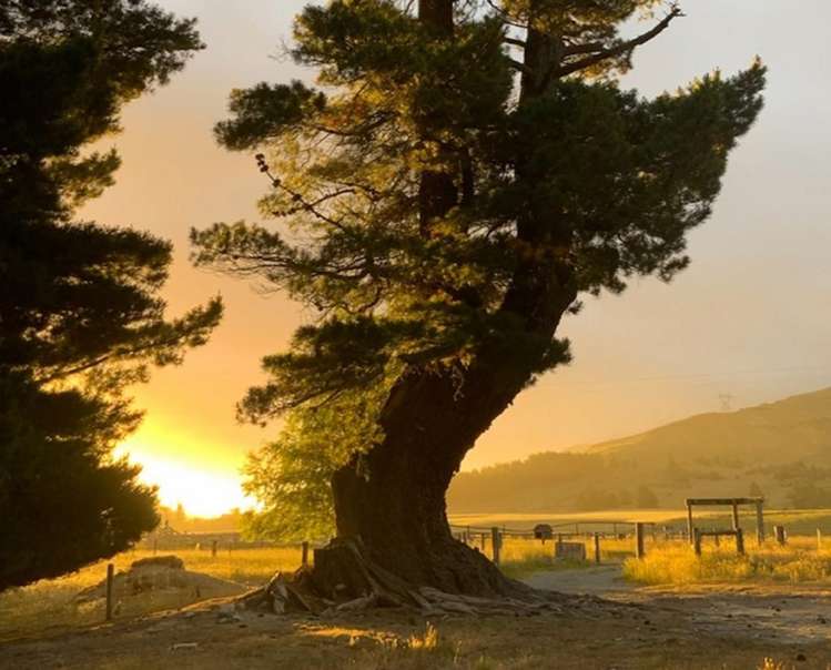 1891 Fairlie Tekapo Road Burkes Pass_23