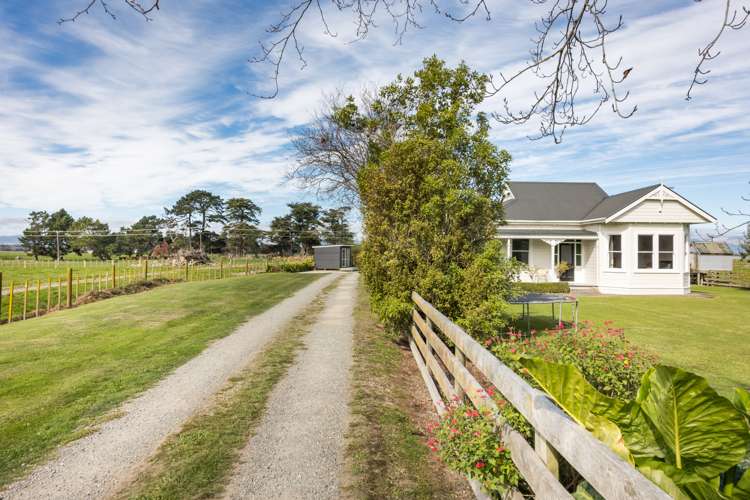 981 Kairanga Bunnythorpe Road Kairanga_5