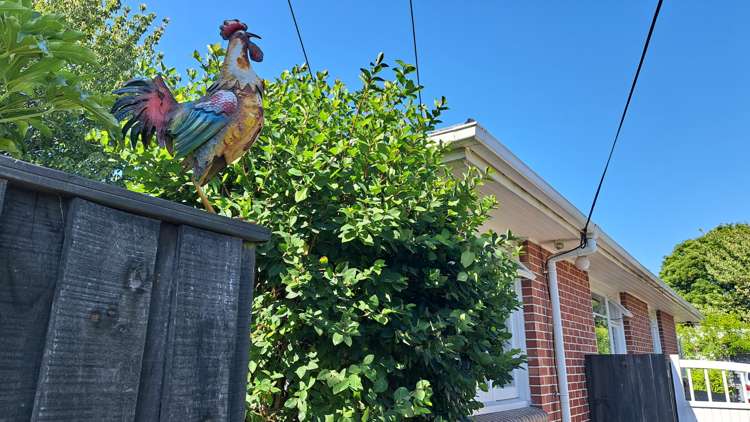 12 Marley View Street Somerfield_17