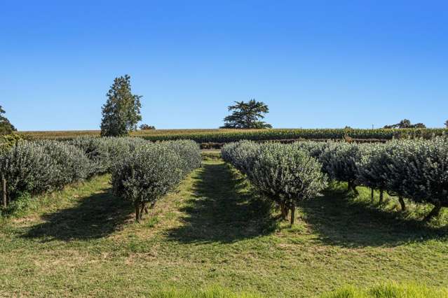 1B Luxton Road Awakeri_3