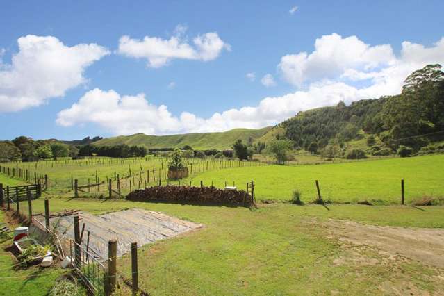 644 Roydon Downs Road Paengaroa_2