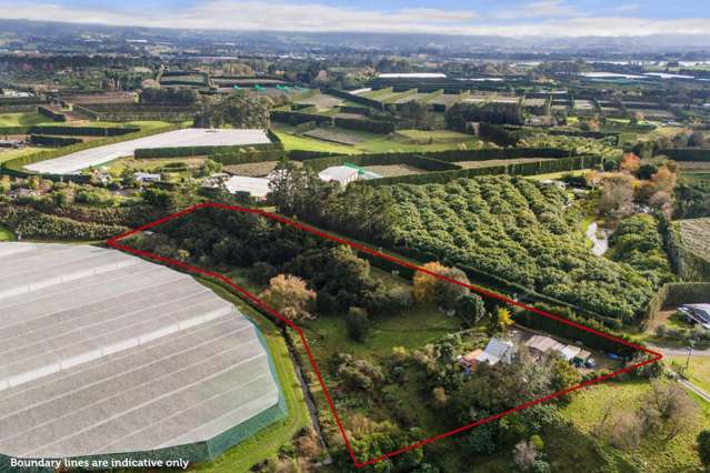 Fruit Trees, Fresh Air, and Freedom to Roam